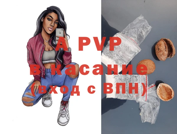 a pvp Белокуриха