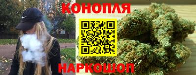 бошки Дубна