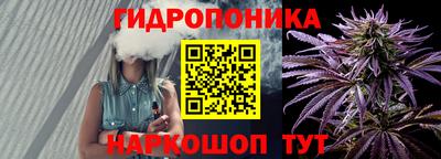 бошки Дубна