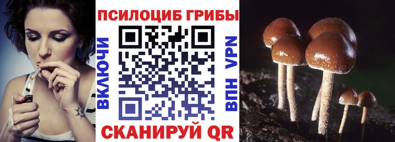 Псилоцибиновые грибы мицелий  Железноводск 