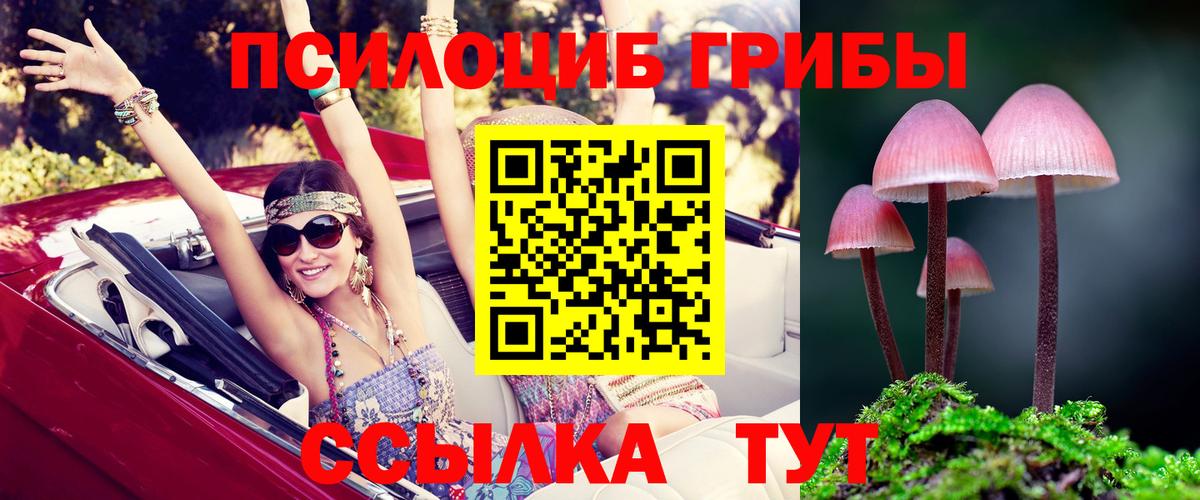Псилоцибиновые грибы GOLDEN TEACHER Железноводск