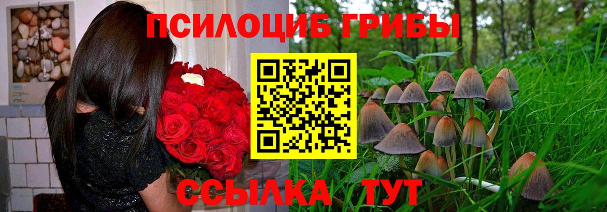 Галлюциногенные грибы Psilocybine cubensis  хочу наркоту  Вход с VPN  Железноводск  Галлюциногенные грибы Magic Shrooms 