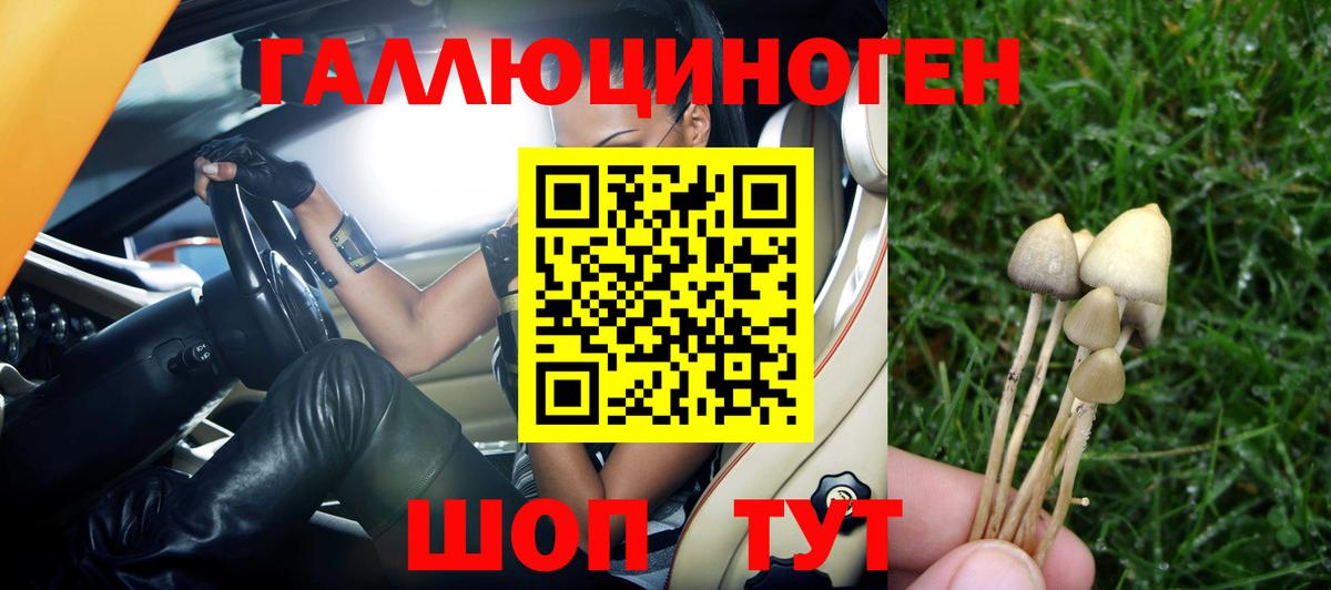 Псилоцибиновые грибы Psilocybe Железноводск